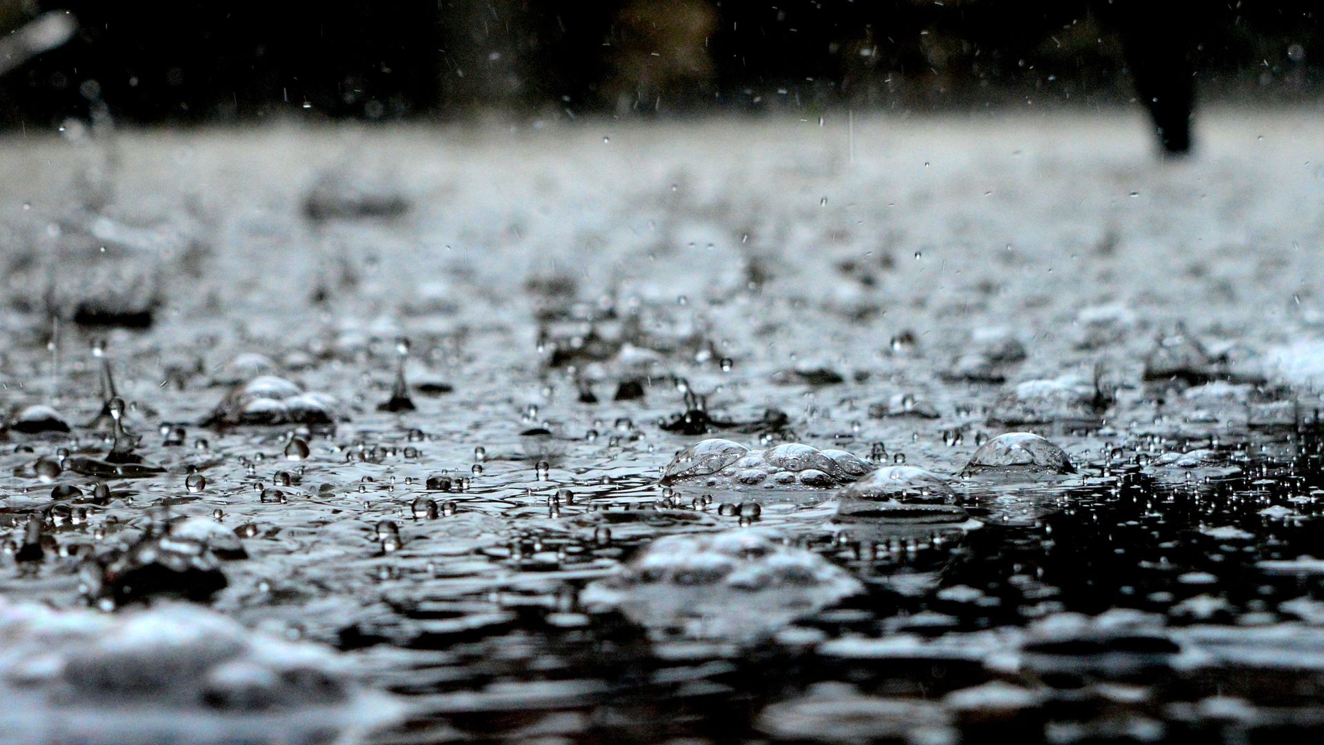 Rain Drops Wallpaper - Kerala Floods Images Black And White - HD Wallpaper 