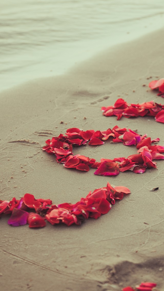 Shore, 5k, 4k Wallpaper, 8k, Beach, Petals, Love, Sand - Wallpaper - HD Wallpaper 