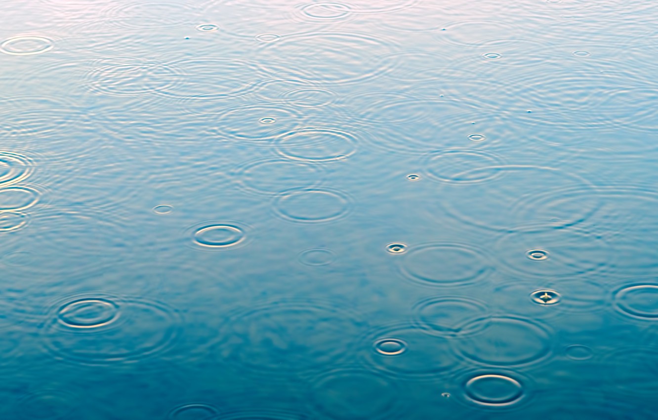 Photo Wallpaper Water, Drops, Macro, Rain, Rain, Water, - Rain Water - HD Wallpaper 