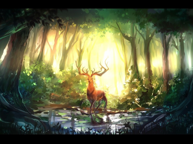 Deer Fantasy Hd Wallpaper - Forest Deer Fantasy - HD Wallpaper 