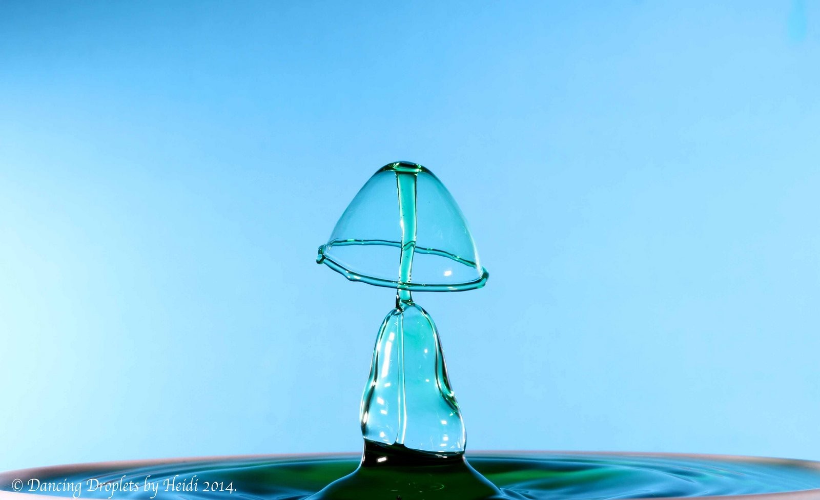 Drop Of Rain Nature - HD Wallpaper 