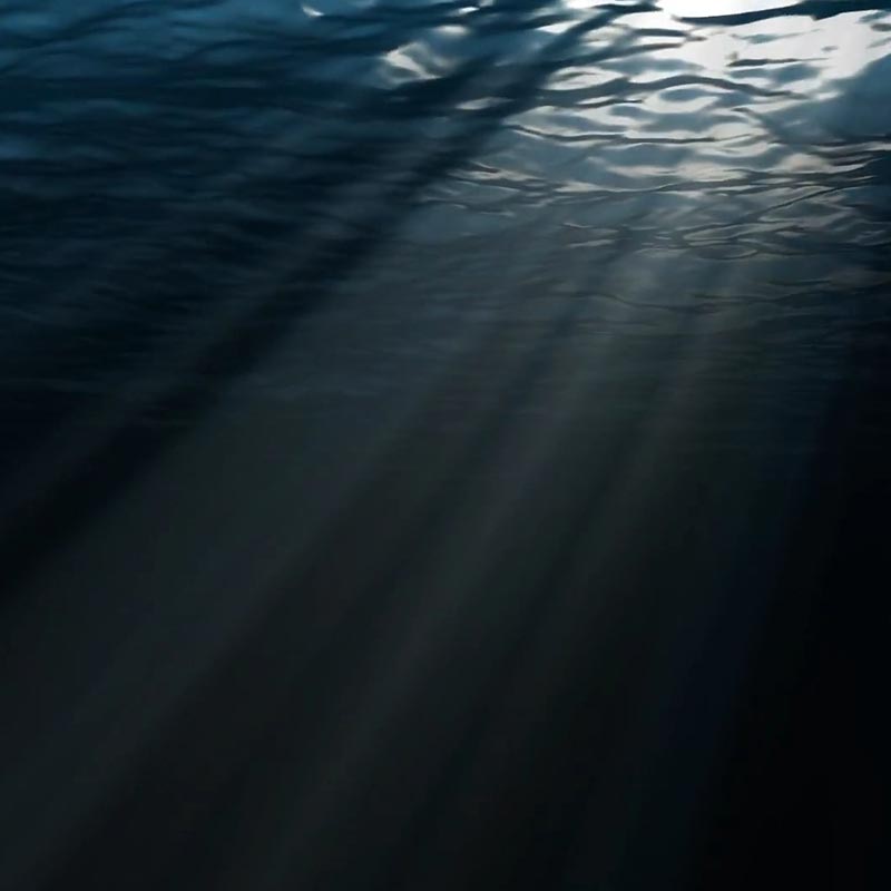 Deep Water Wallpaper Engine - Shadow - HD Wallpaper 