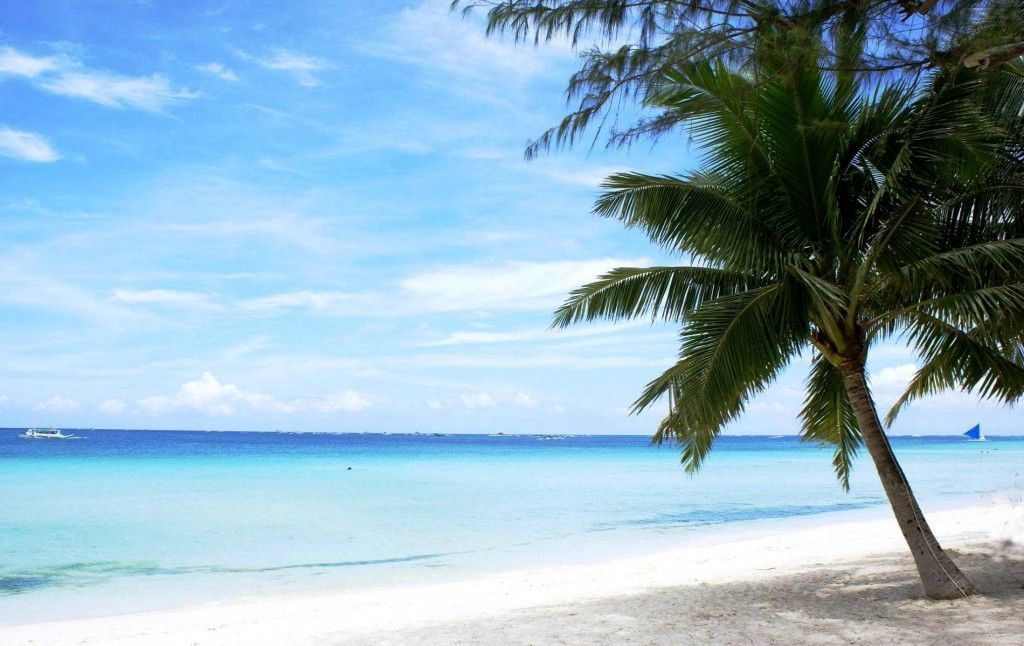 Desktop Wallpaper Tropical Beach Desktop Background Beach Free 1024x646 Wallpaper Teahub Io