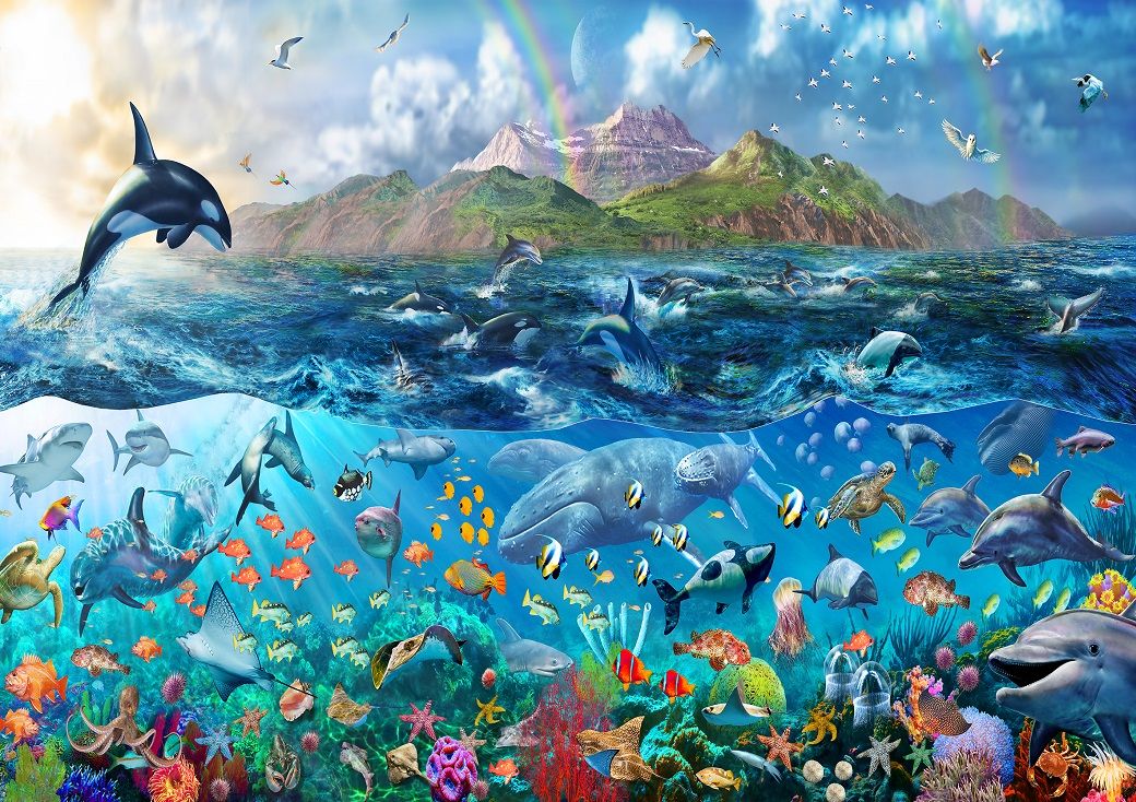 Sea Life Wallpapers Download - HD Wallpaper 