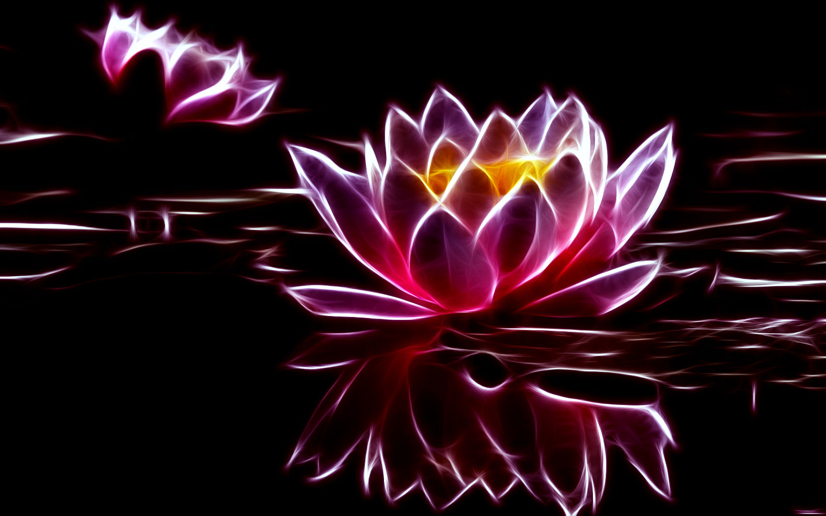 Water Lilies - HD Wallpaper 