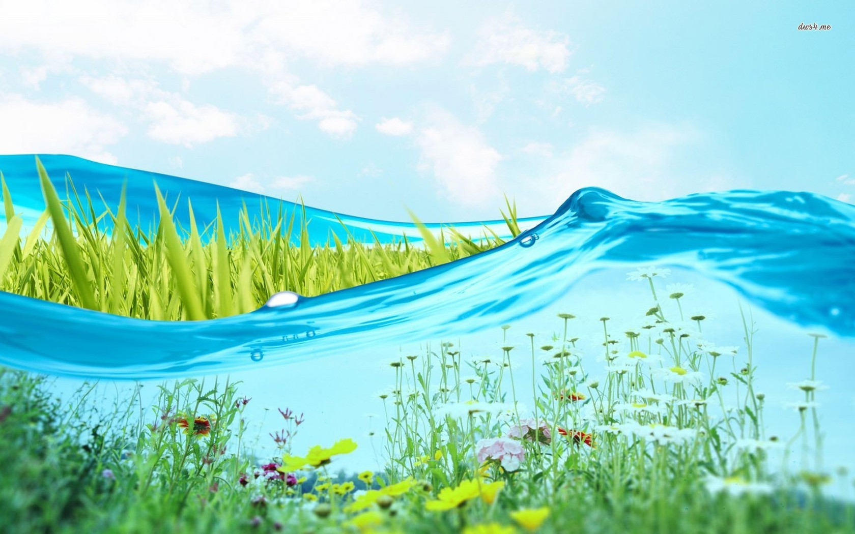 Field Behind Water Wallpaper Wallpaper Wide Hd - Water And Plants - HD Wallpaper 