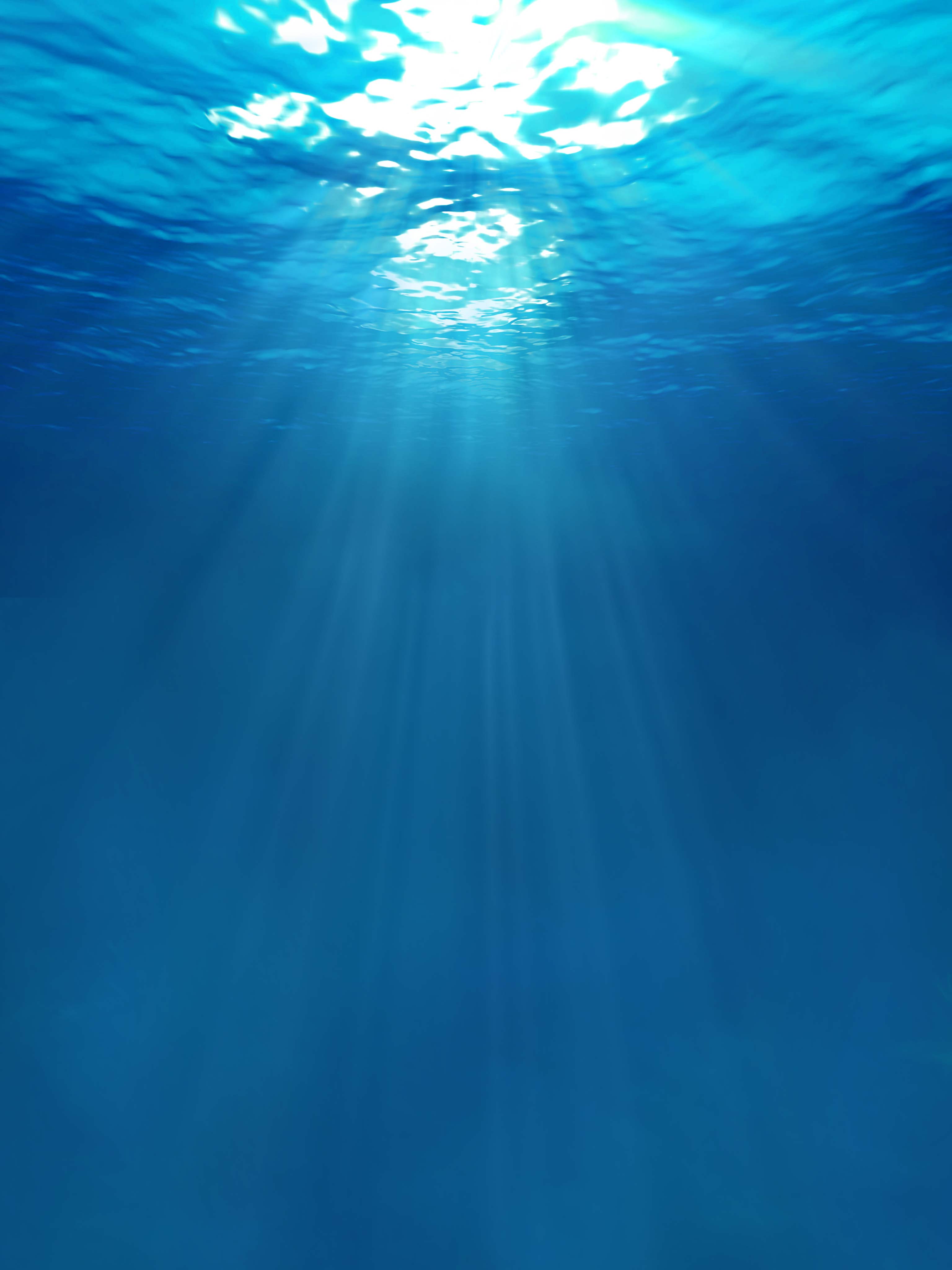 Phone Wallpaper Underwater - HD Wallpaper 