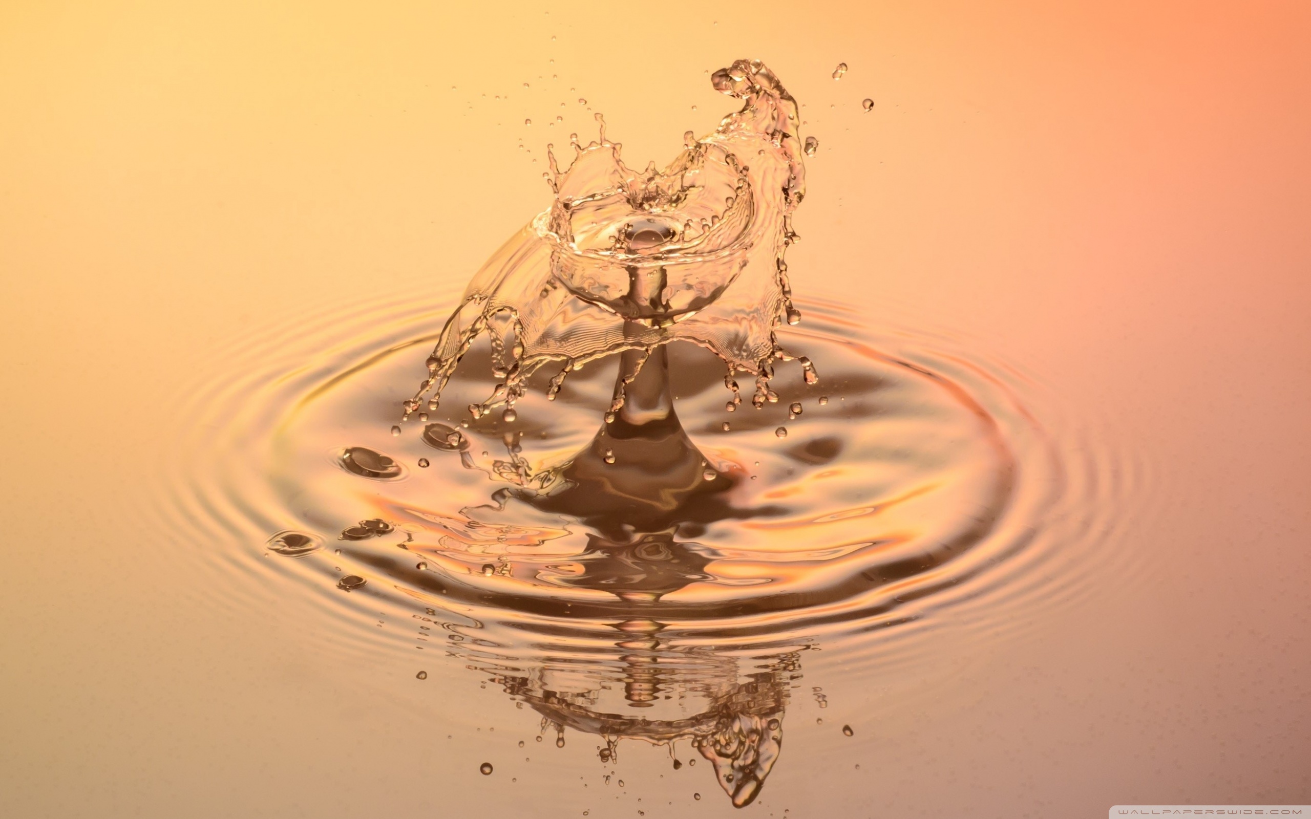 Hd Wallpaper Splash Water Drop - HD Wallpaper 