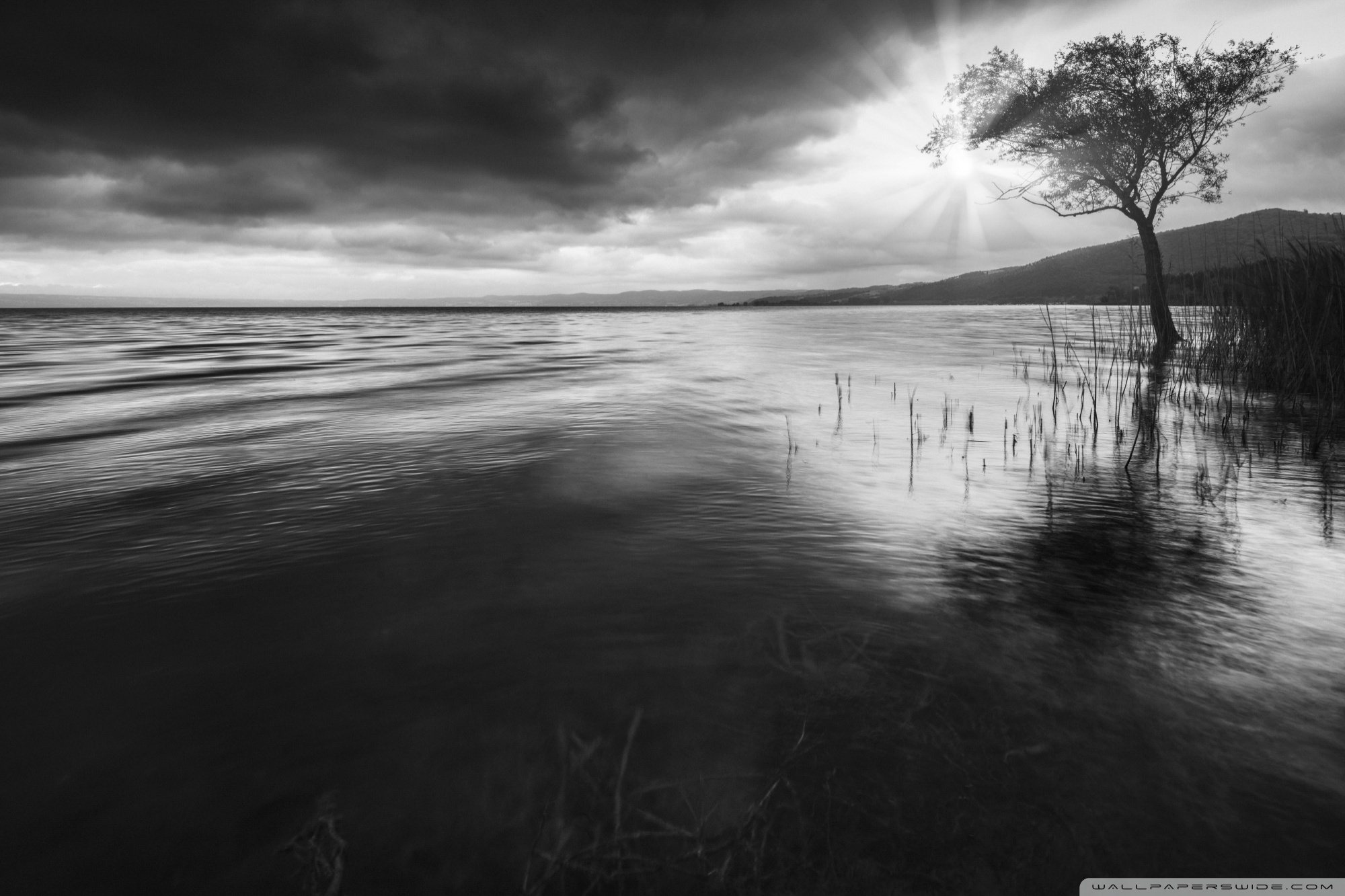 Black And White Desktop - HD Wallpaper 