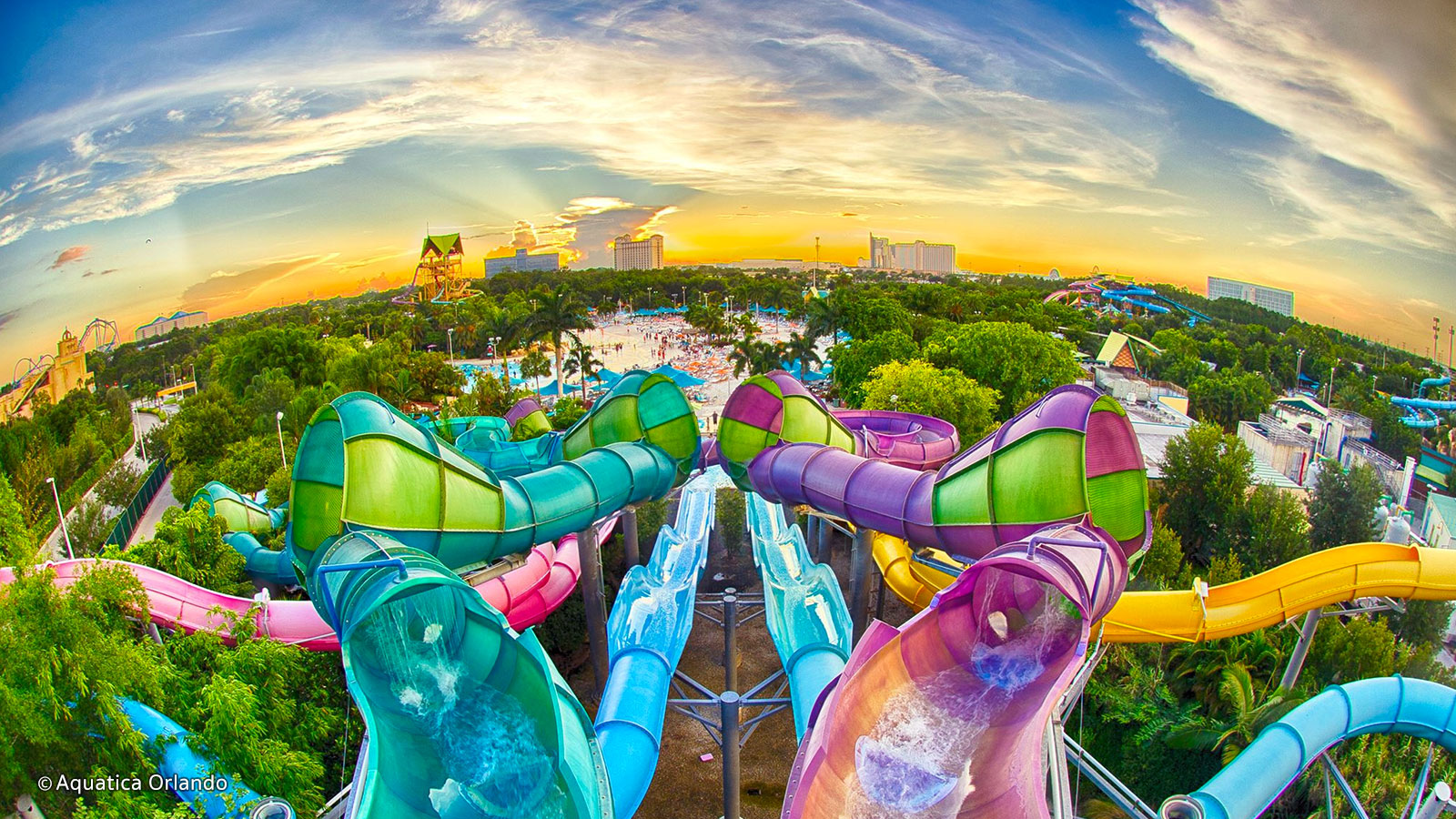 Orlando Aquatica 1600x900 Wallpaper Teahub Io Orlando Aquatica 1600x900 Wallpaper Teahub Io