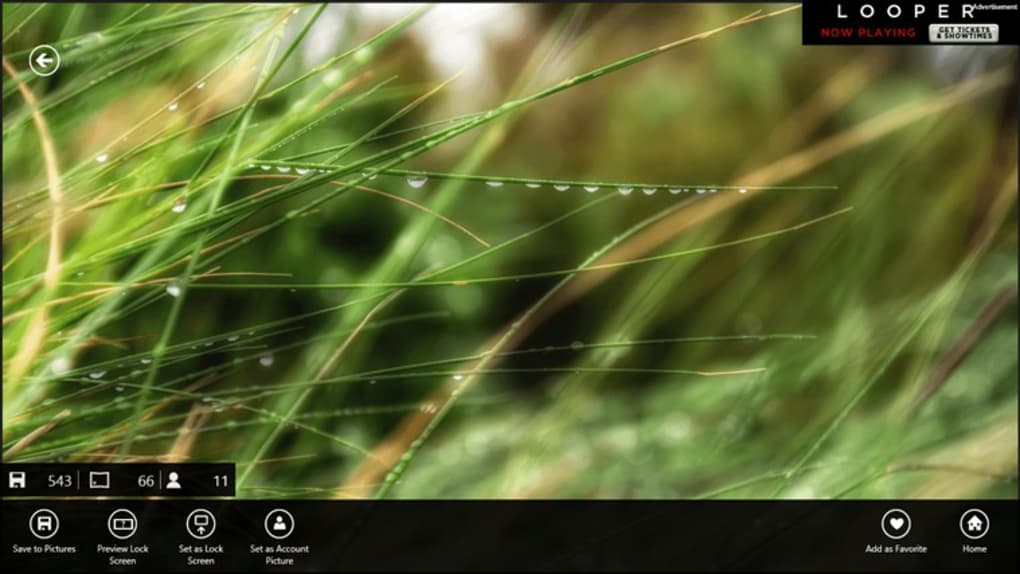 Backgrounds Wallpapers Hd - Program Do Nagrywania Kamerą W Laptopie - HD Wallpaper 