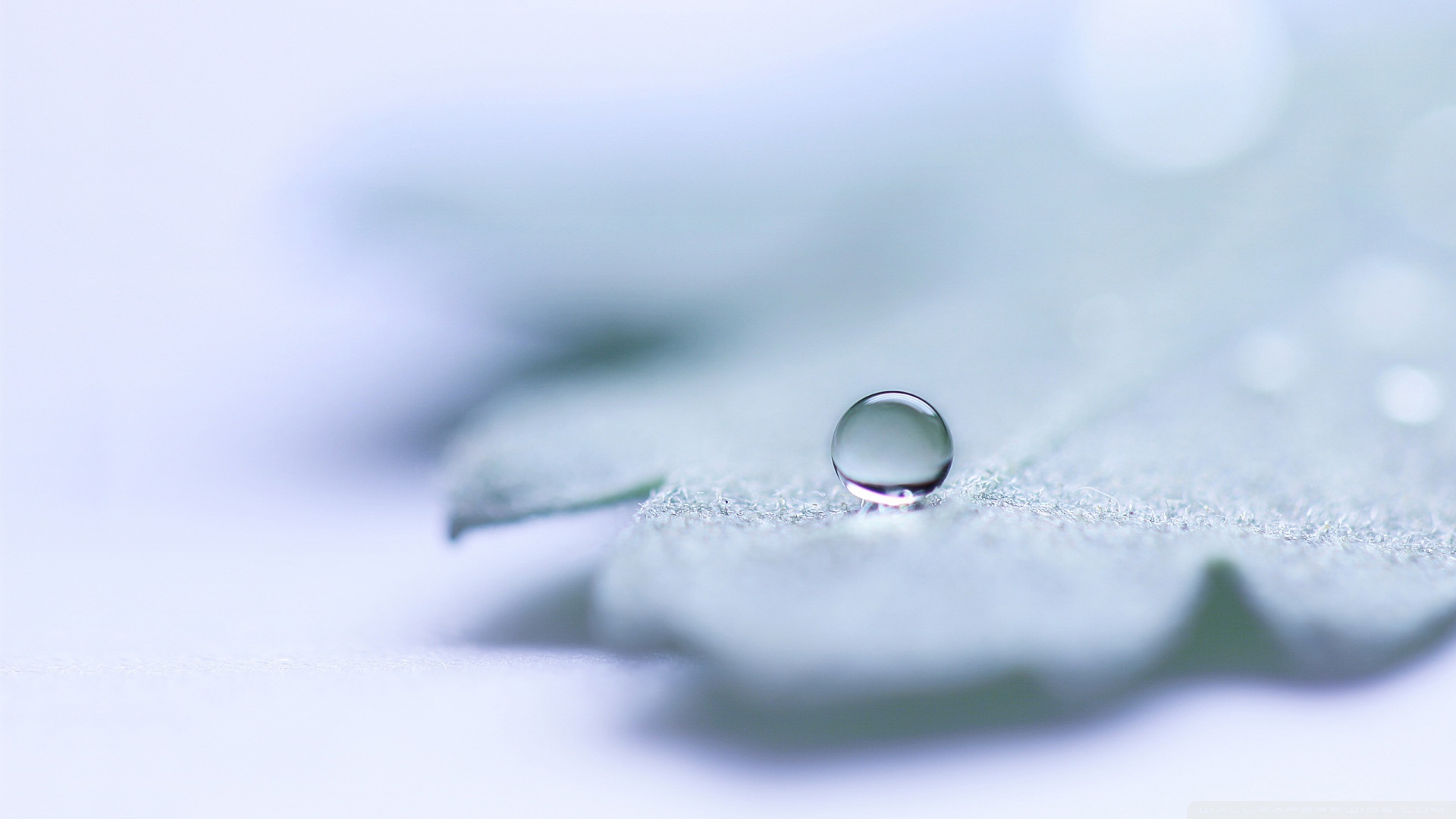 Droplets Power Point Background - HD Wallpaper 