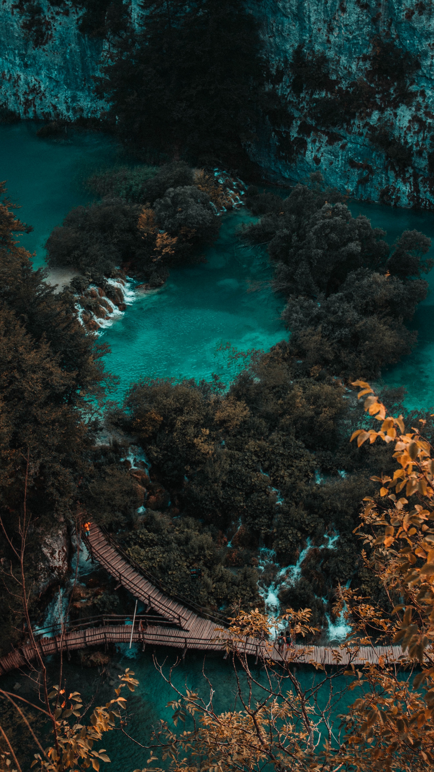 Wallpaper Coast, Bridge, Aerial View, Trees, Water, - Almatyda - HD Wallpaper 