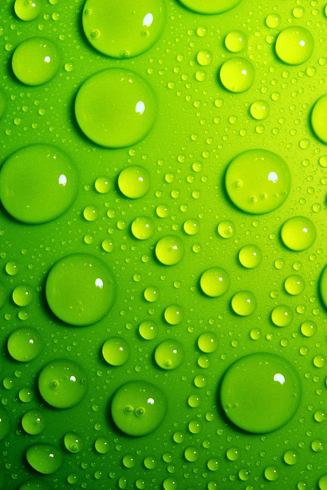 Green Backgrounds - HD Wallpaper 