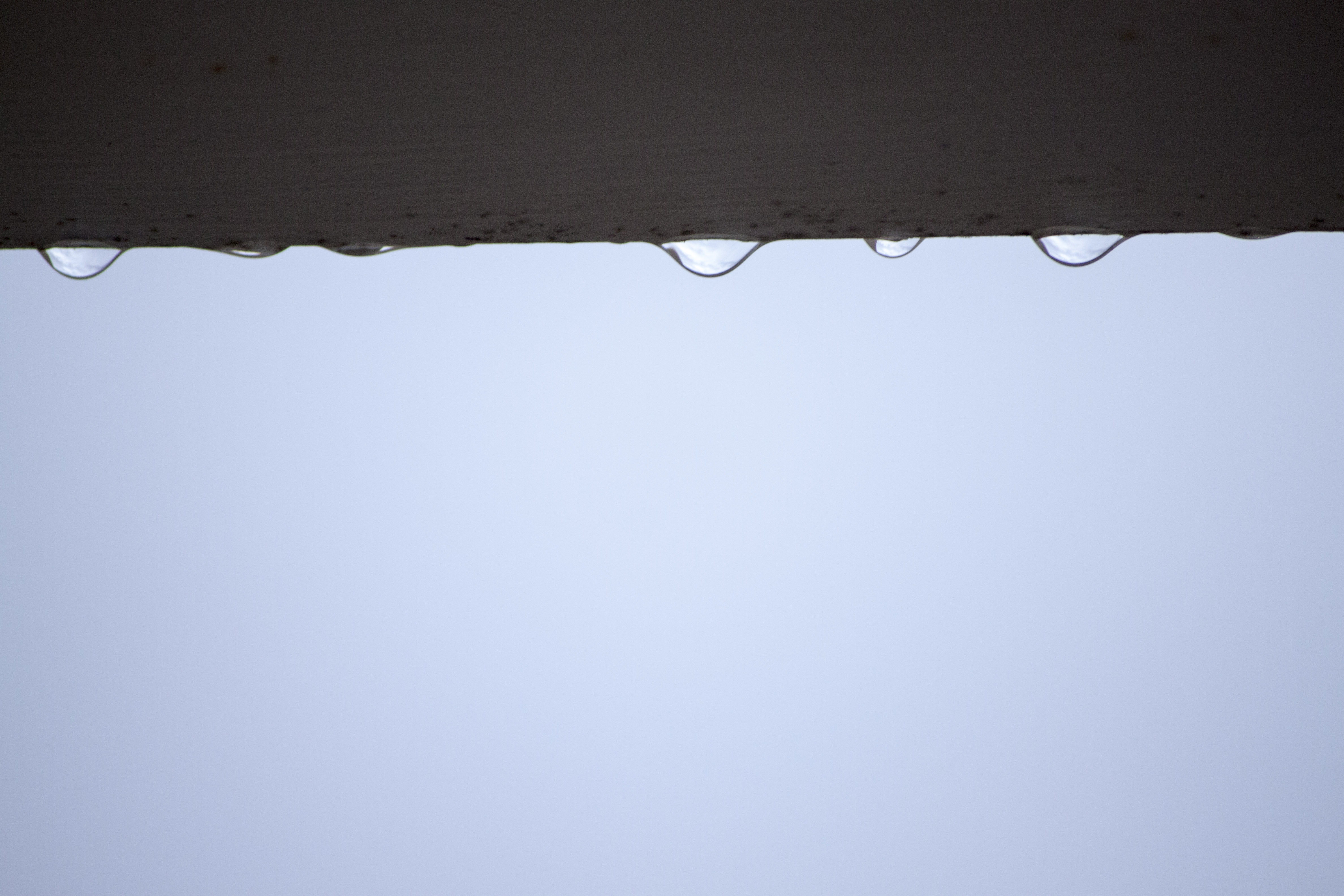 Macro Water Drops, Abstract, Nature, Water, Wallpaper, - Architecture - HD Wallpaper 