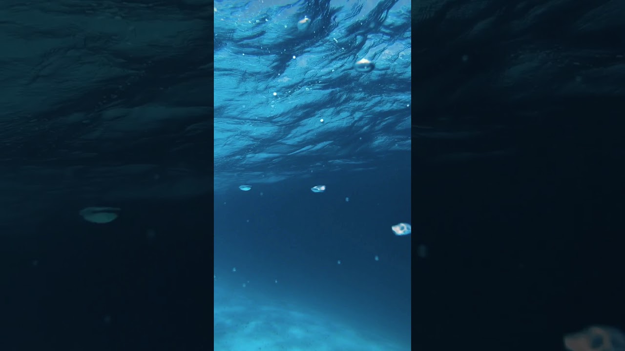 Underwater - HD Wallpaper 