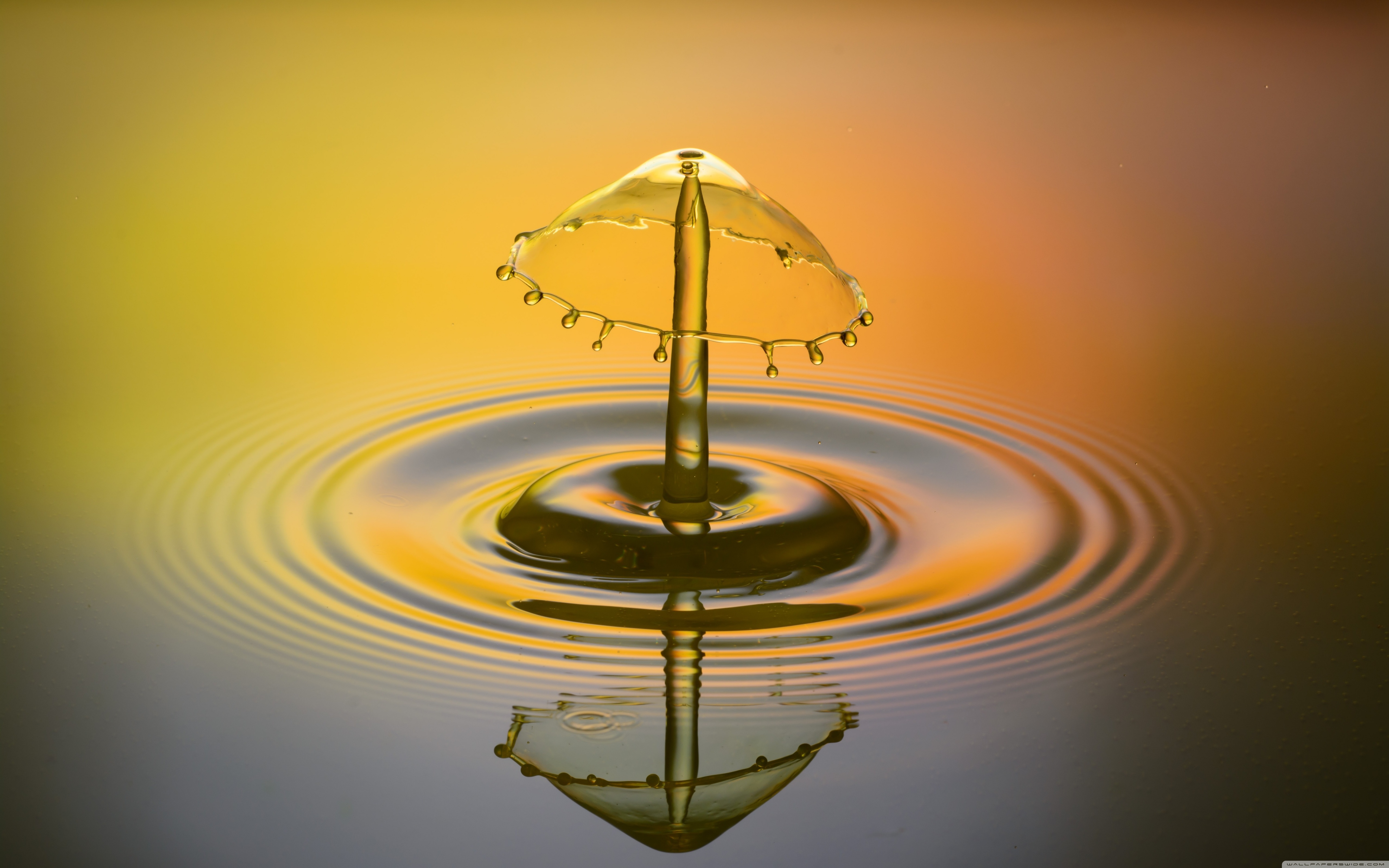 High Speed Water Drop Hd - HD Wallpaper 