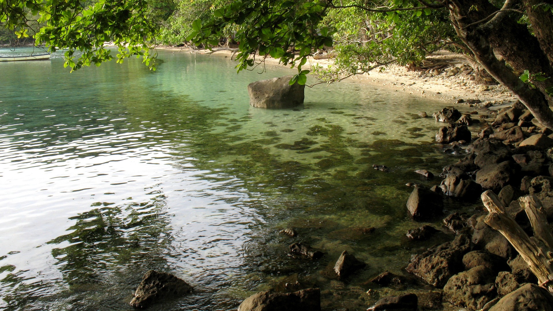 Crocodile Conservation Project Logo - HD Wallpaper 