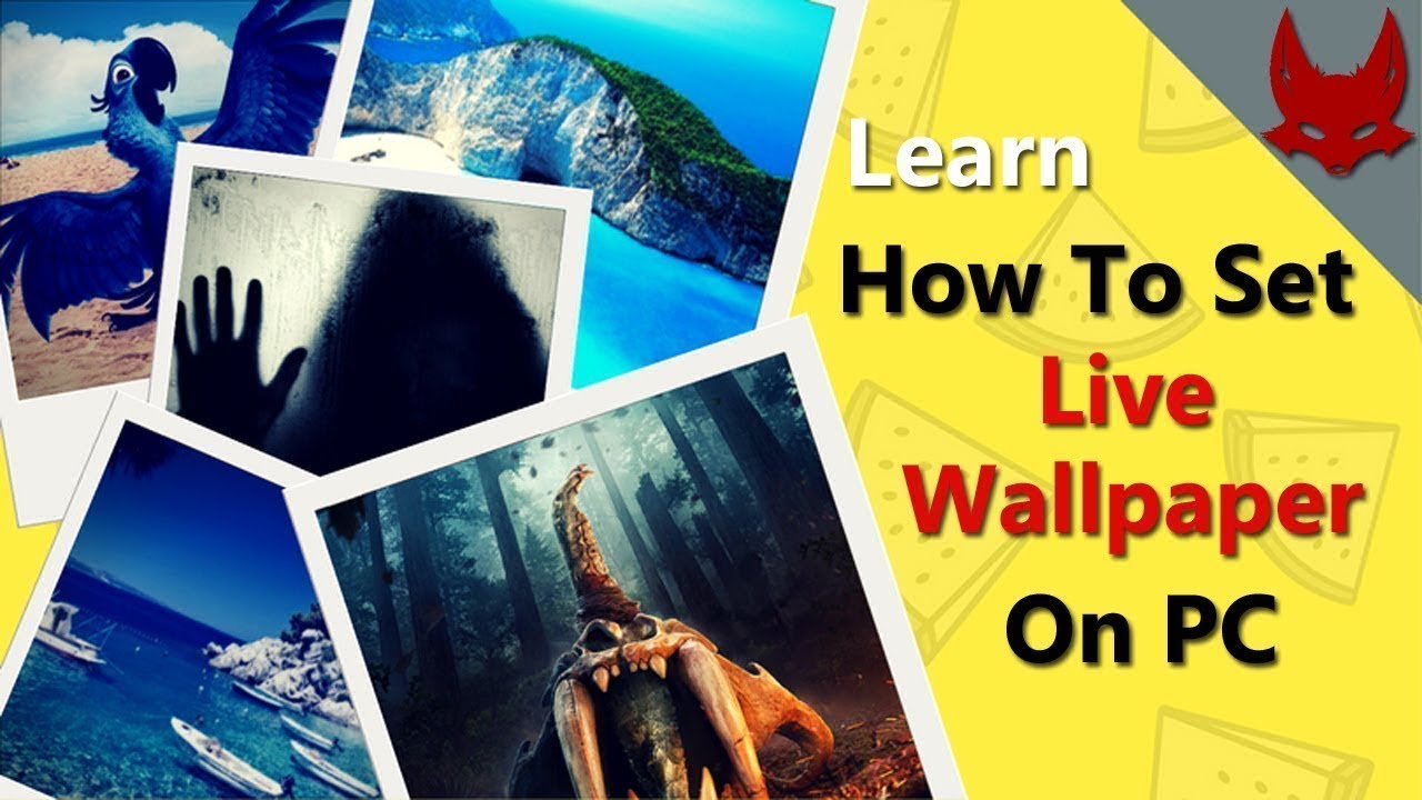 Vacation - HD Wallpaper 