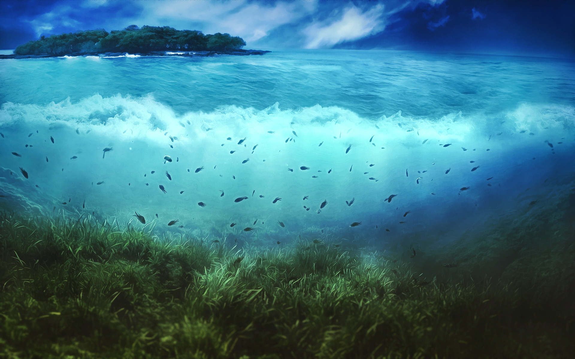 Cool Ocean Life Wallpaper 30941 
 Data Src Widescreen - Aquatic Background Hd - HD Wallpaper 