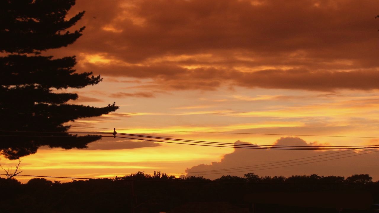 Your Path Is Different From Mine - HD Wallpaper 