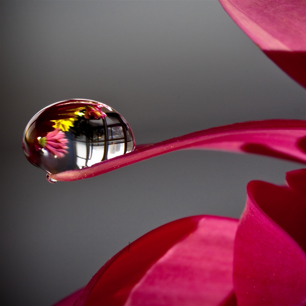 Water Drop Reflection Ipad Air Wallpaper - Water Drop Wallpapers Download - HD Wallpaper 