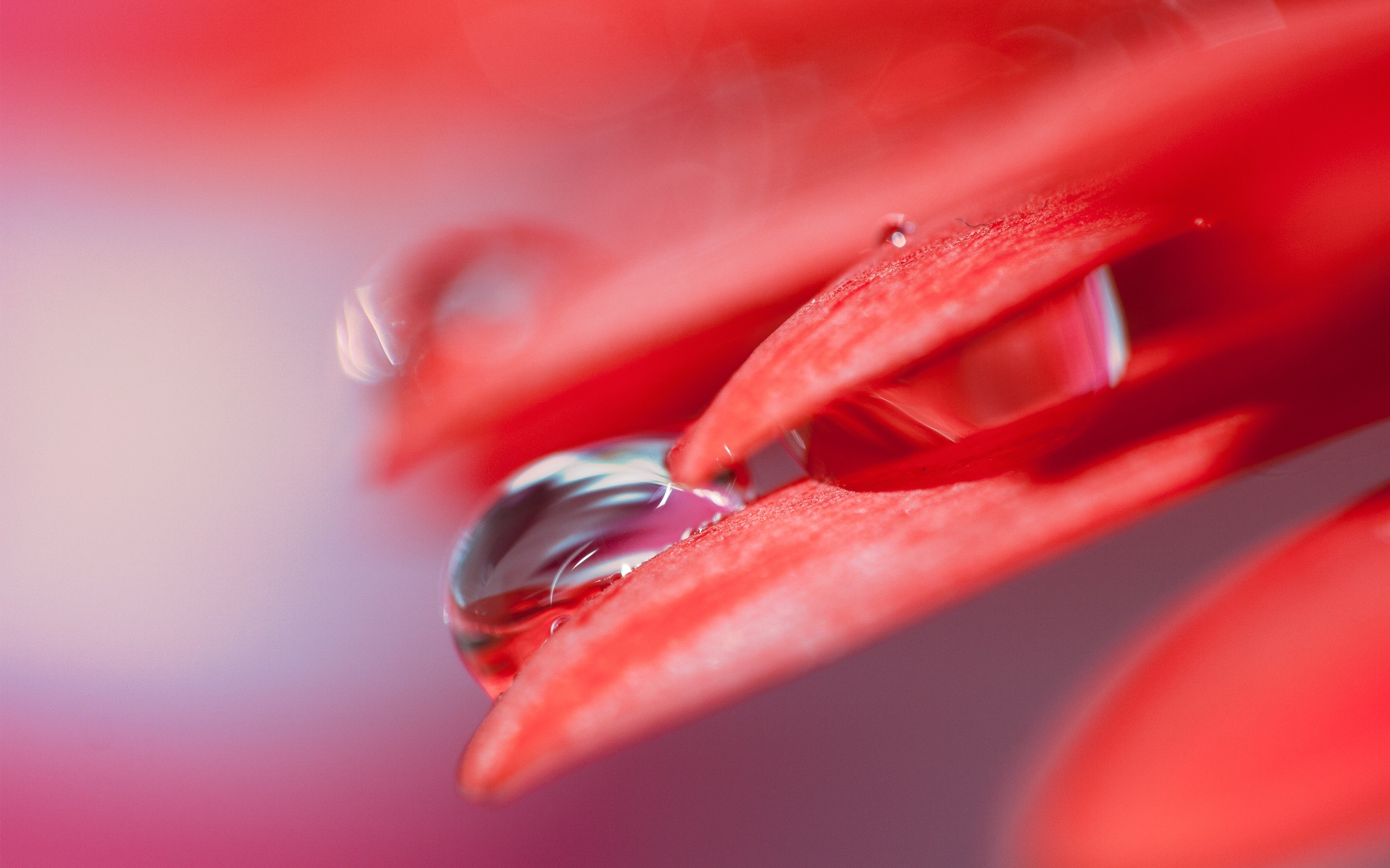 Water Drop Wallpaper Red - HD Wallpaper 