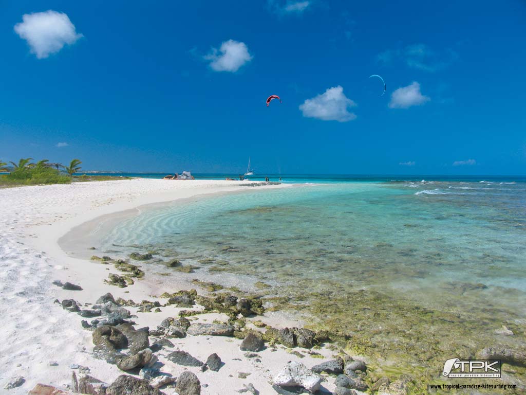 Tropical Paradise - HD Wallpaper 