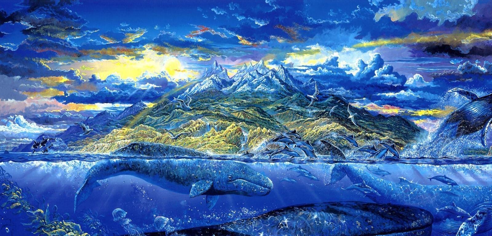 Best Sea Life Wallpaper Id - High Resolution Sea Life - HD Wallpaper 