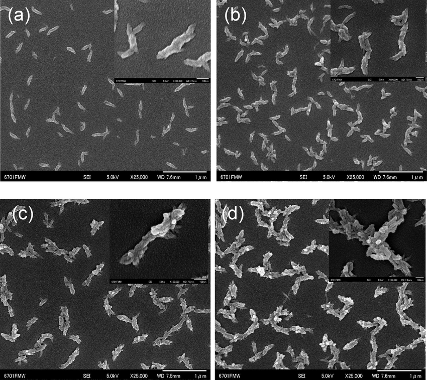 Sem Images Of Pani Deposited On The Insulating Gap - HD Wallpaper 