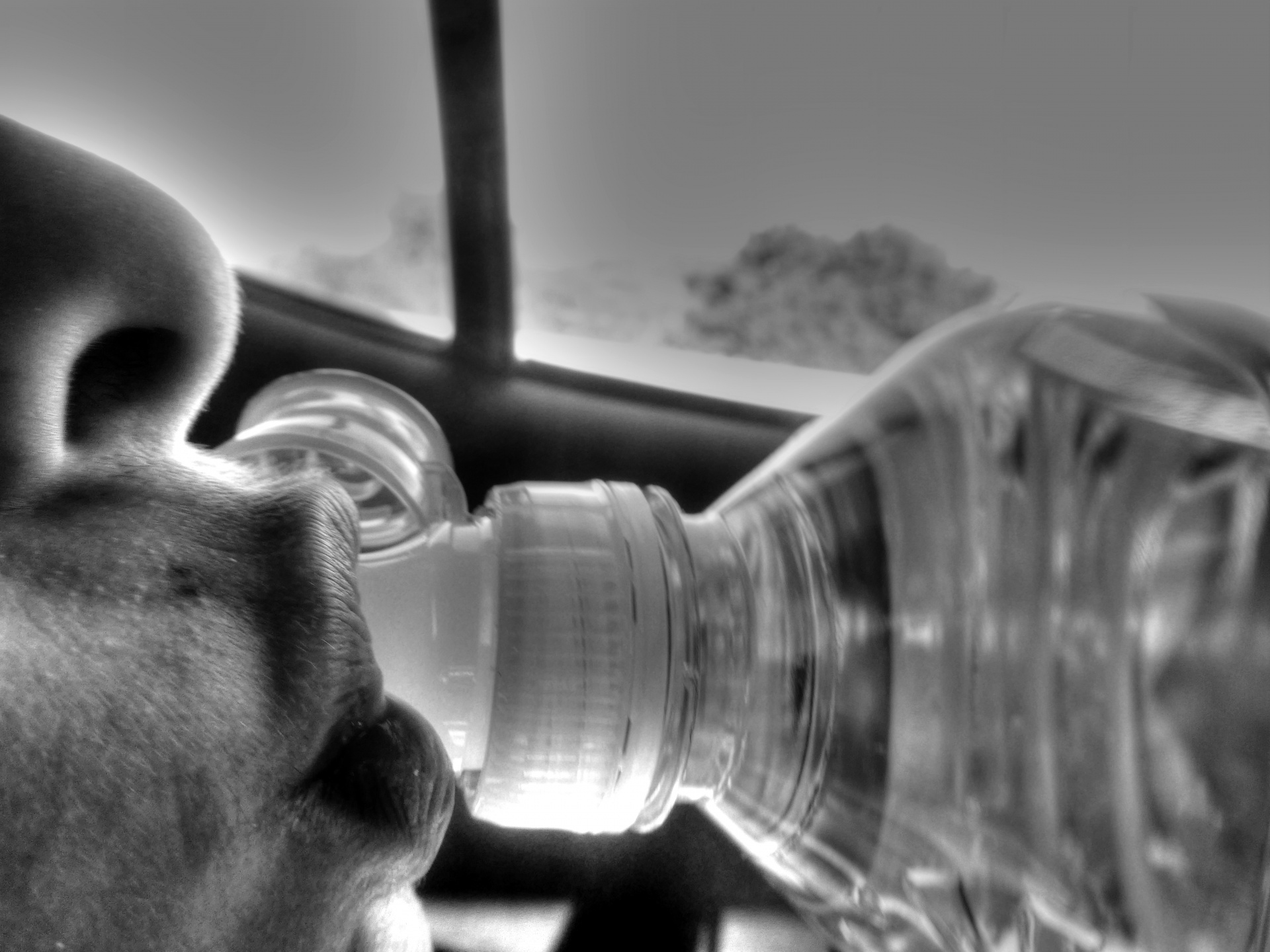 Lips Face Drink Free Photo - Black Drinking Water - HD Wallpaper 
