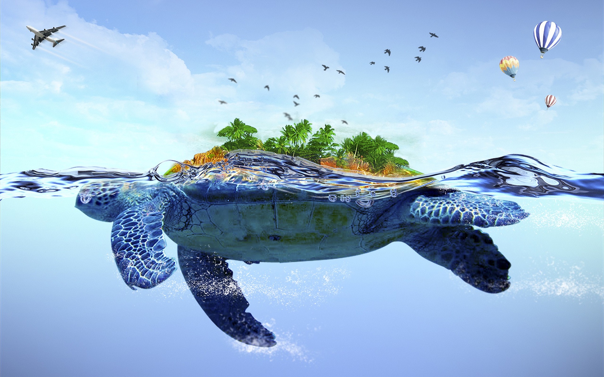 Turtle And Airplane Water Background Wallpapers And - Airplane In Backround - HD Wallpaper 