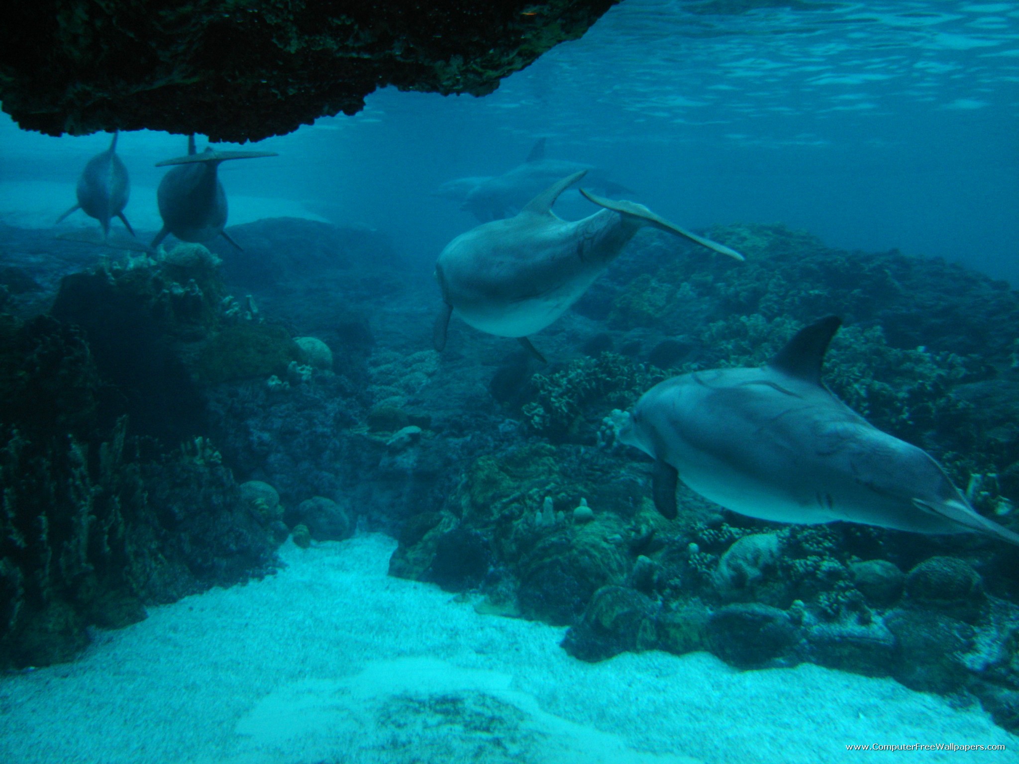 Papel De Parede S4 Mini Hd - HD Wallpaper 