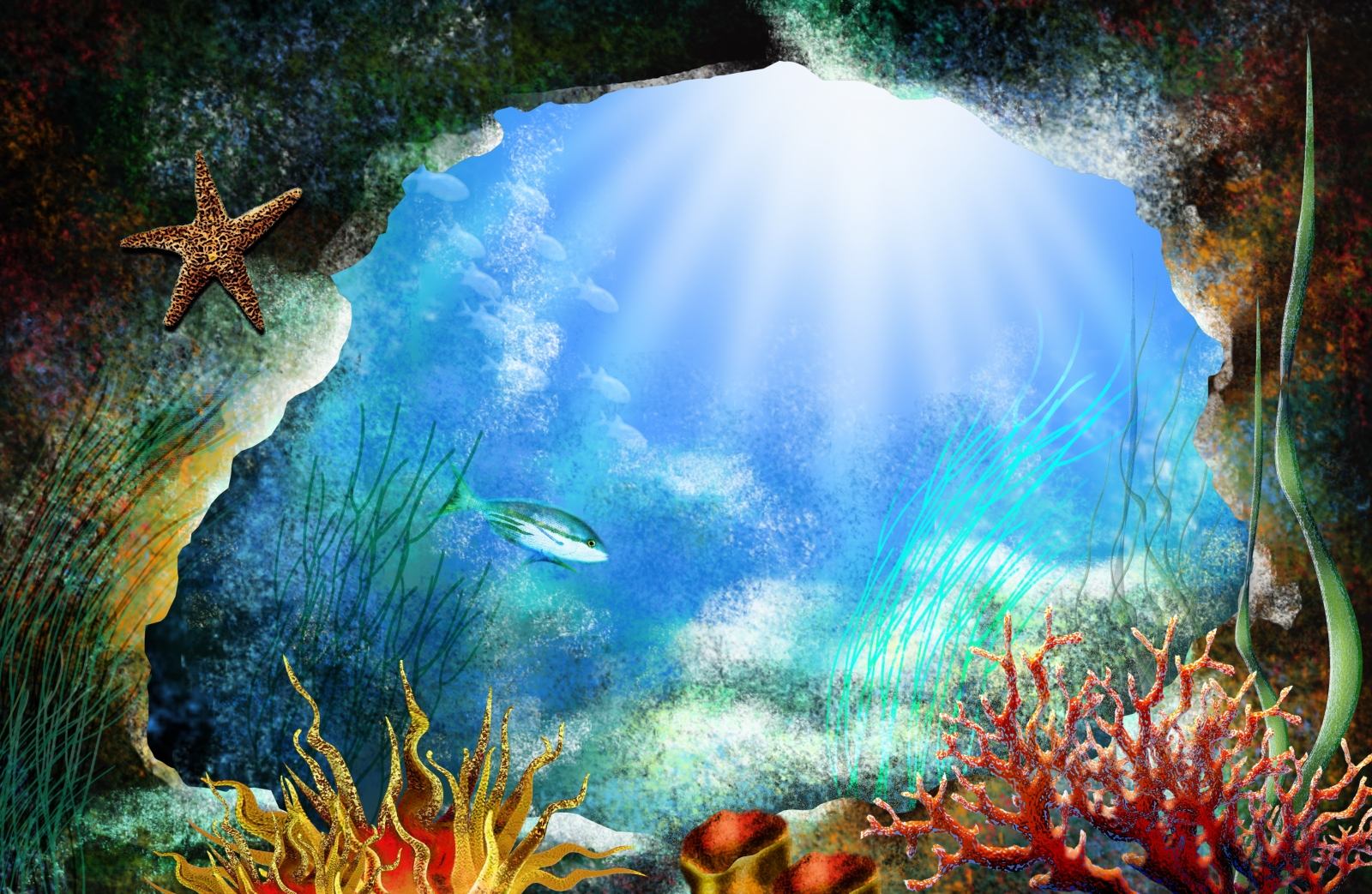 Sea Life Backgrounds - HD Wallpaper 
