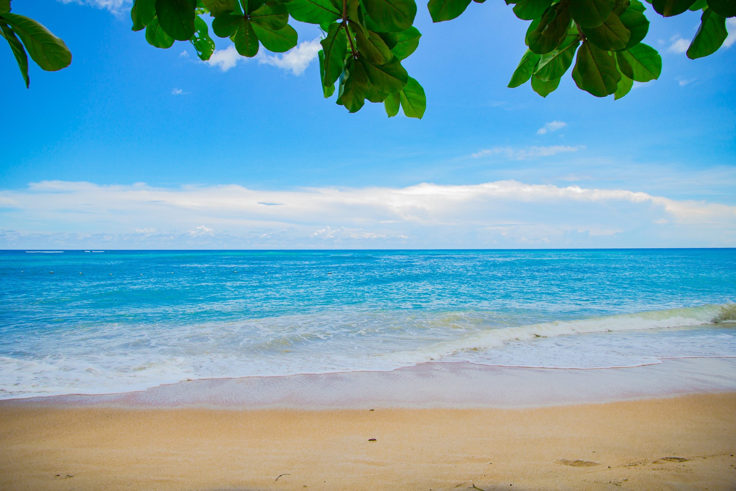 Clean Beach Water Hd Wallpaper 2560p Free Download - Summer Beach Photos Free - 2560x1707 Wallpaper Clean Beach Water Hd Wallpaper 2560p Free Download - Summer Beach Photos Free - 2560x1707 Wallpaper