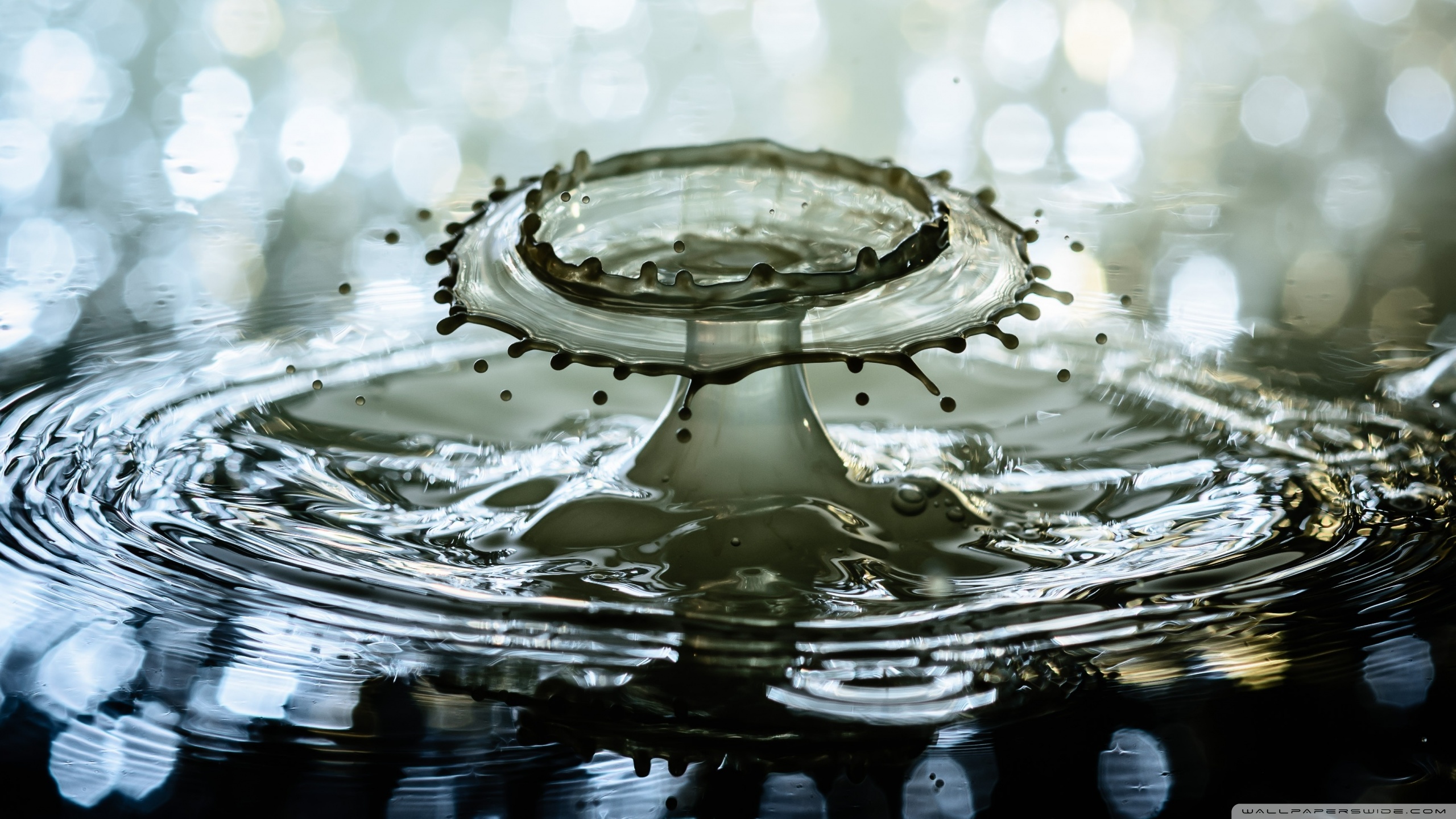 Flower Water Glass Wallpaper Hd - HD Wallpaper 