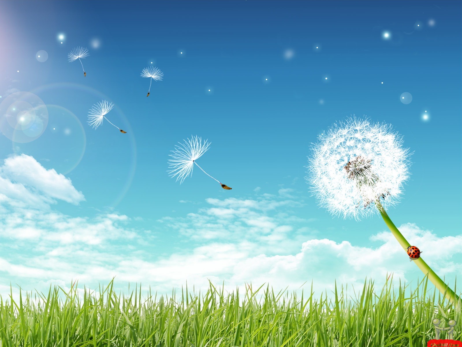 Hd Wallpaper Air - Fly Flower Background - HD Wallpaper 