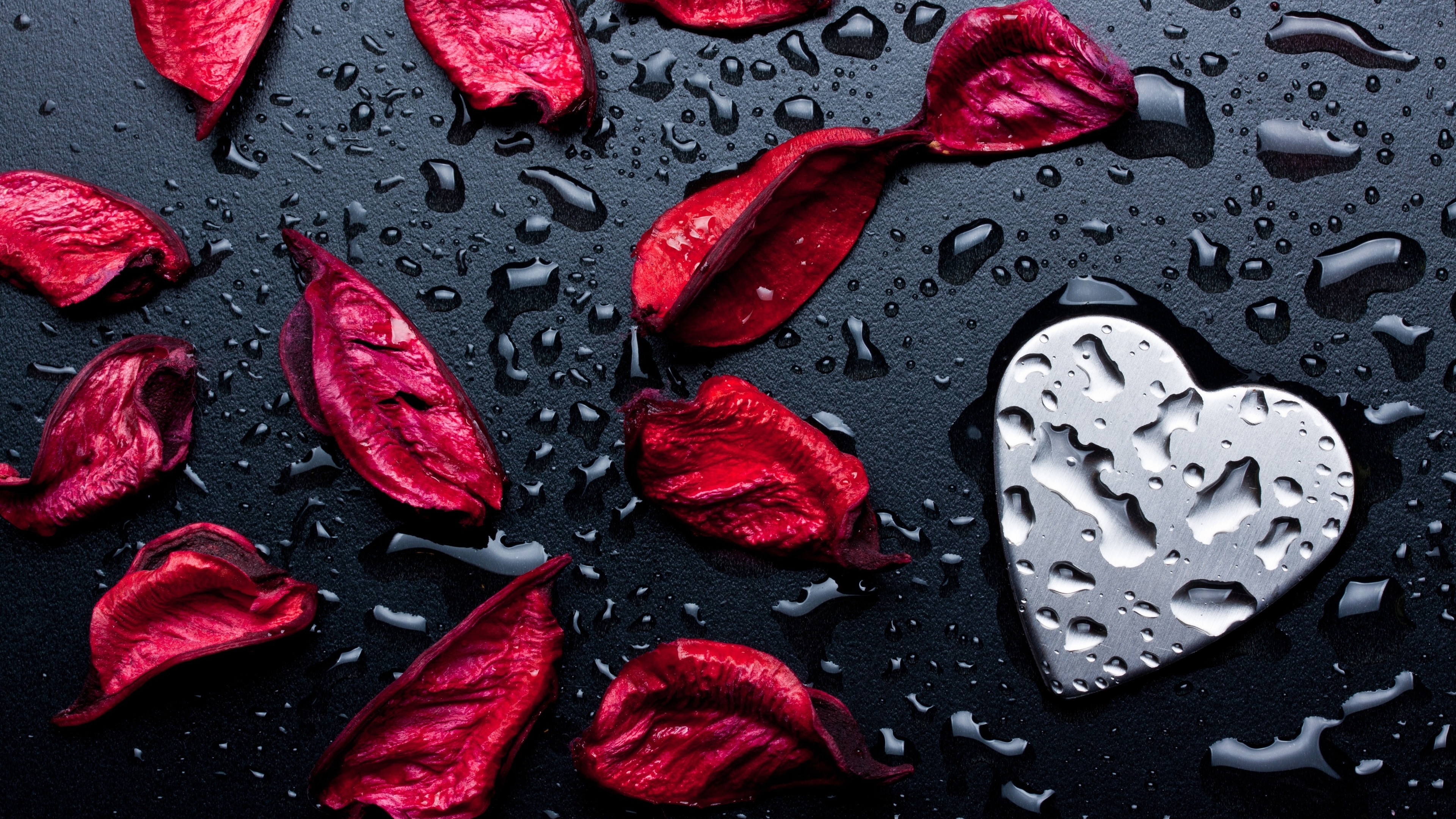 Wallpaper - HD Wallpaper 