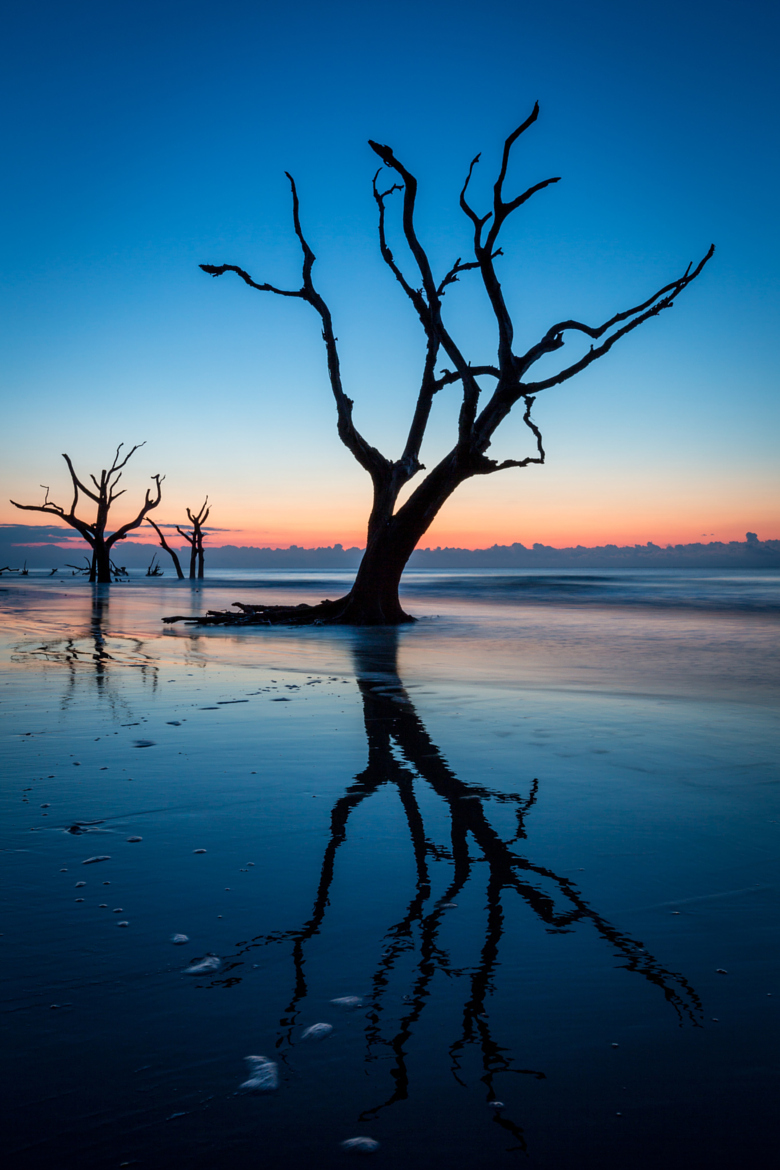 Silhouette - HD Wallpaper 