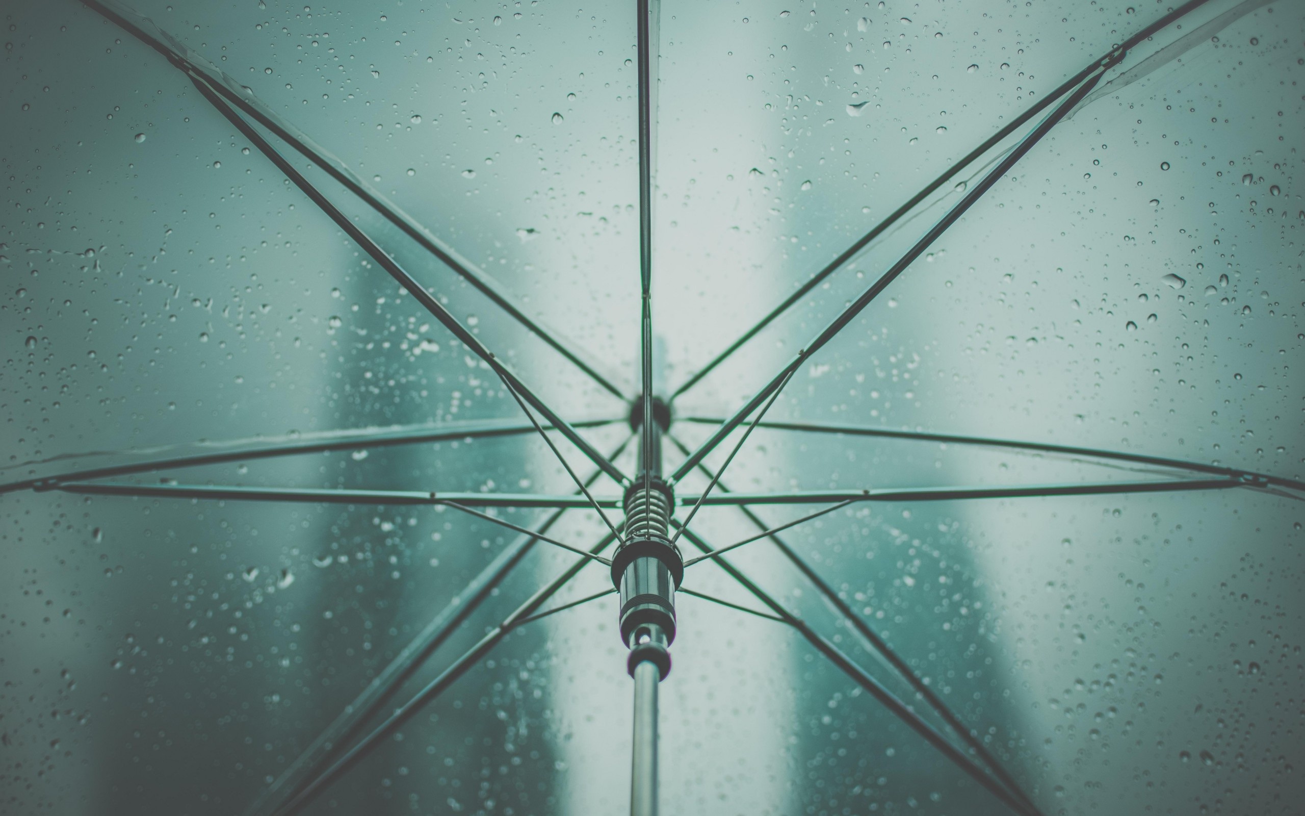 Transparent Umbrella Rain - HD Wallpaper 
