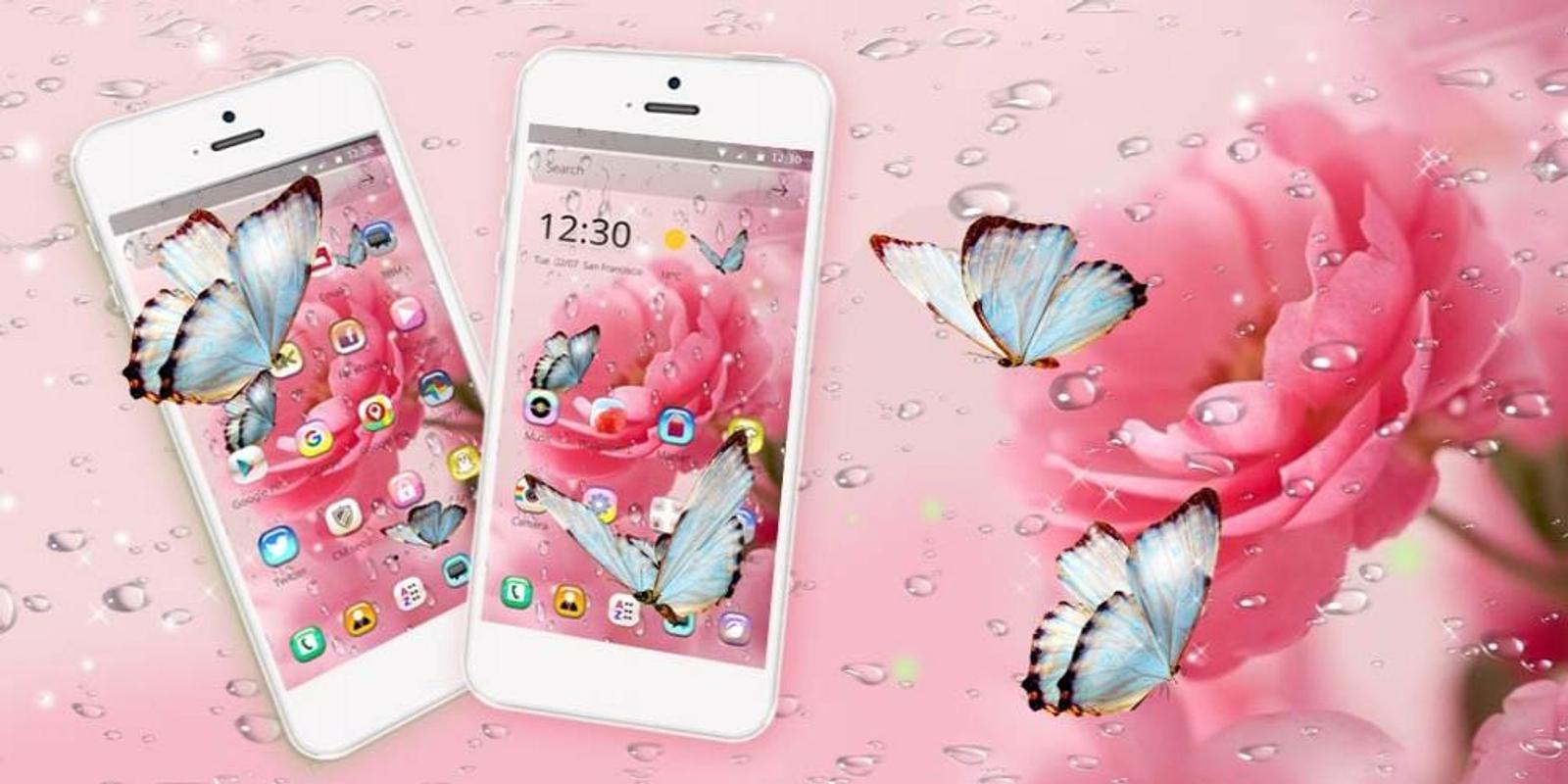Download Android Apk Rose Water Drop Wallpaper - Iphone - HD Wallpaper 