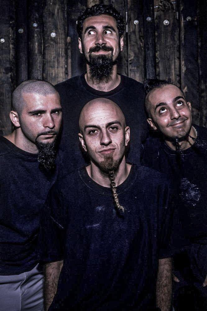 Daron Malakian Wallpaper Iphone - 666x1000 Wallpaper - teahub.io