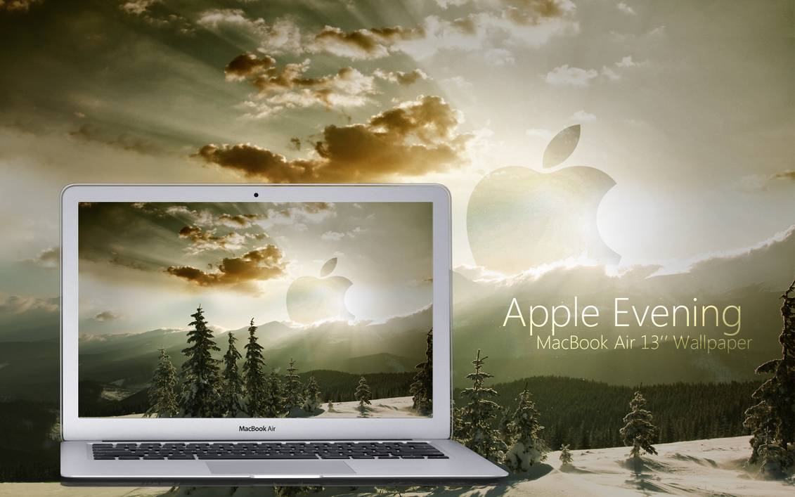 Wallpaper - HD Wallpaper 