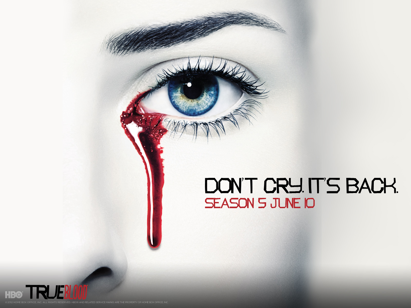 True Blood Season 5 Poster - HD Wallpaper 