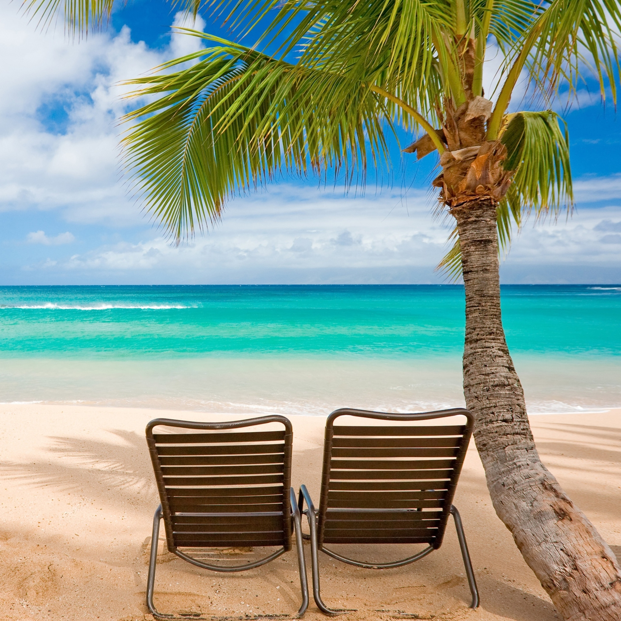 A Shady Spot On The Beach For Ipad, Iphone, And Apple - Beach Wallpapers For Ipad - HD Wallpaper 