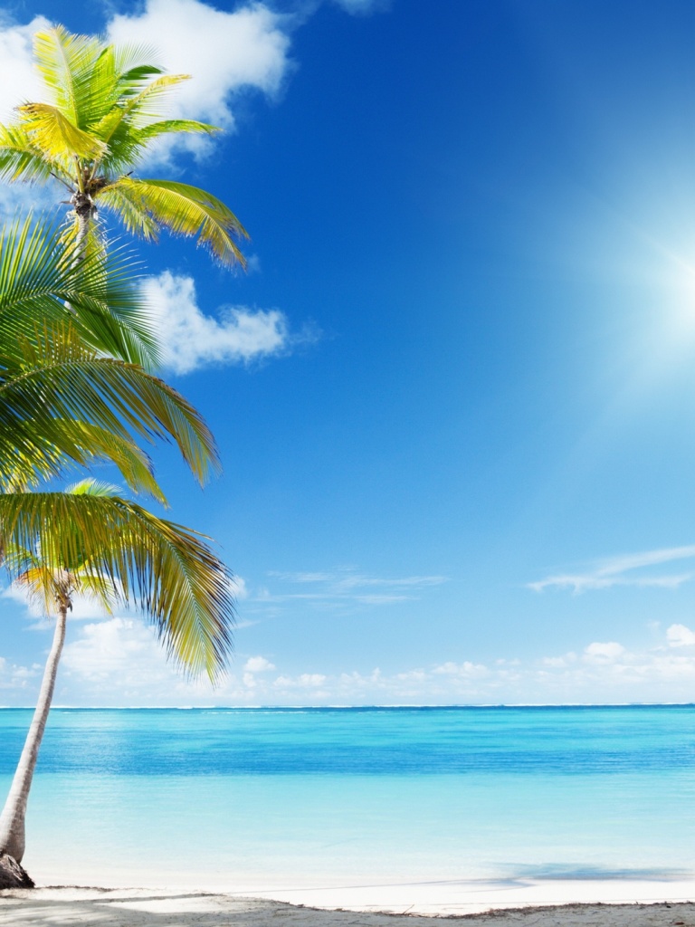 Island Beach Palm Tree - HD Wallpaper 