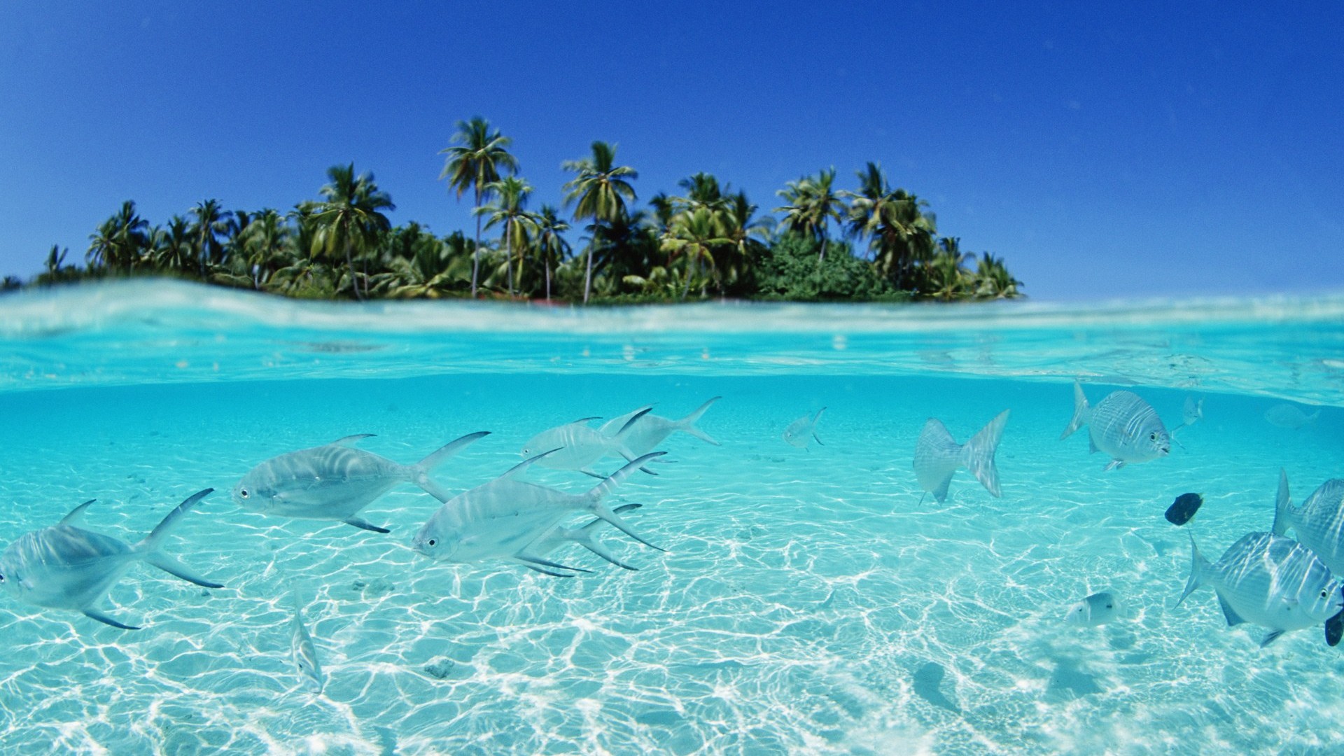 Malediven Wasser Und Blauer Himmel - Beautiful Beaches In Maldives - HD Wallpaper 