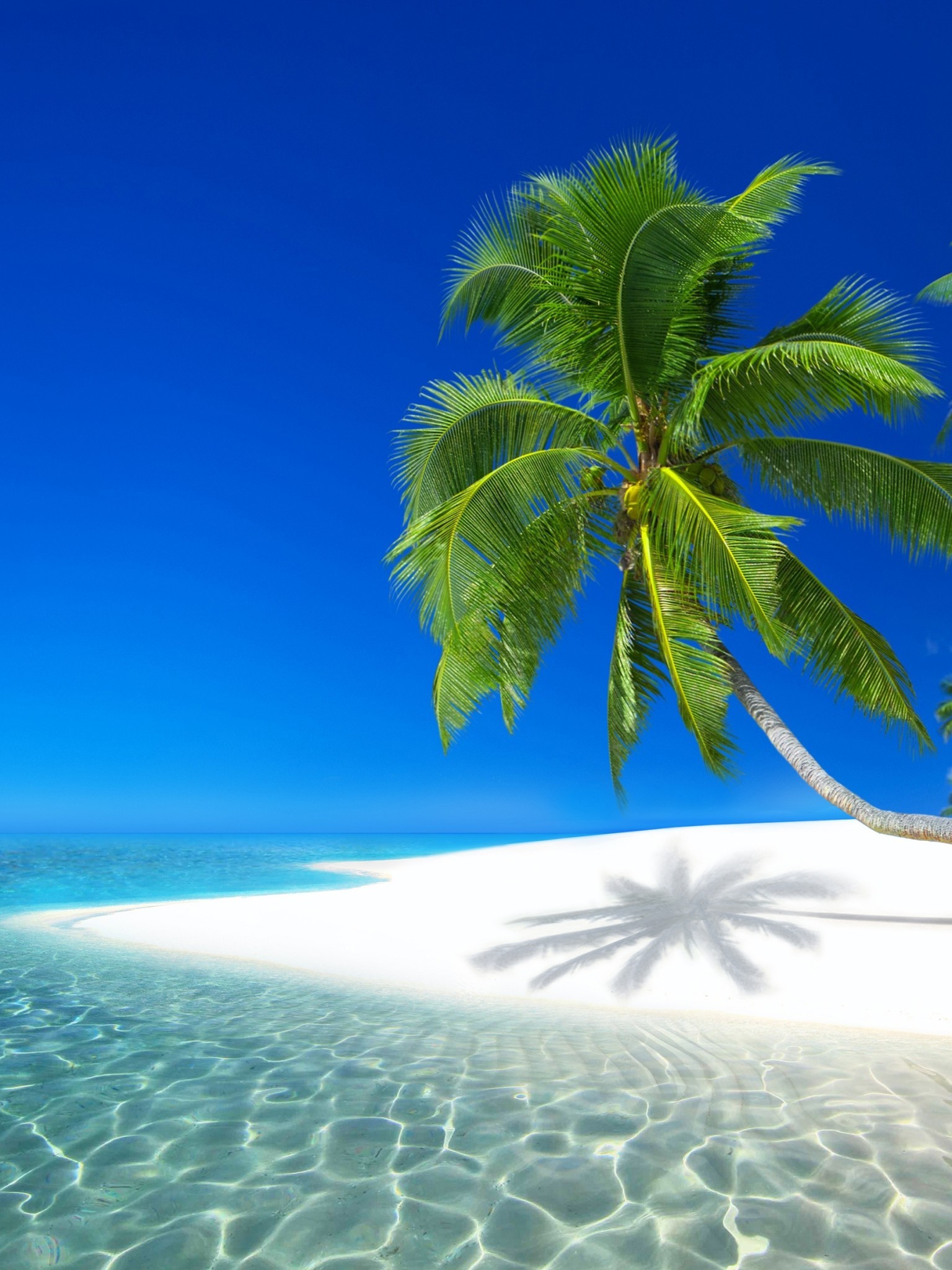 Seychelles Resort, Ocean, Holiday, Beach, Island - Pusheen Wallpaper Summer - HD Wallpaper 