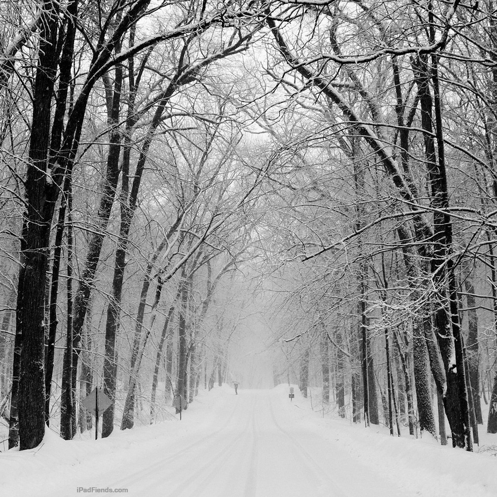 Snowy Road - HD Wallpaper 
