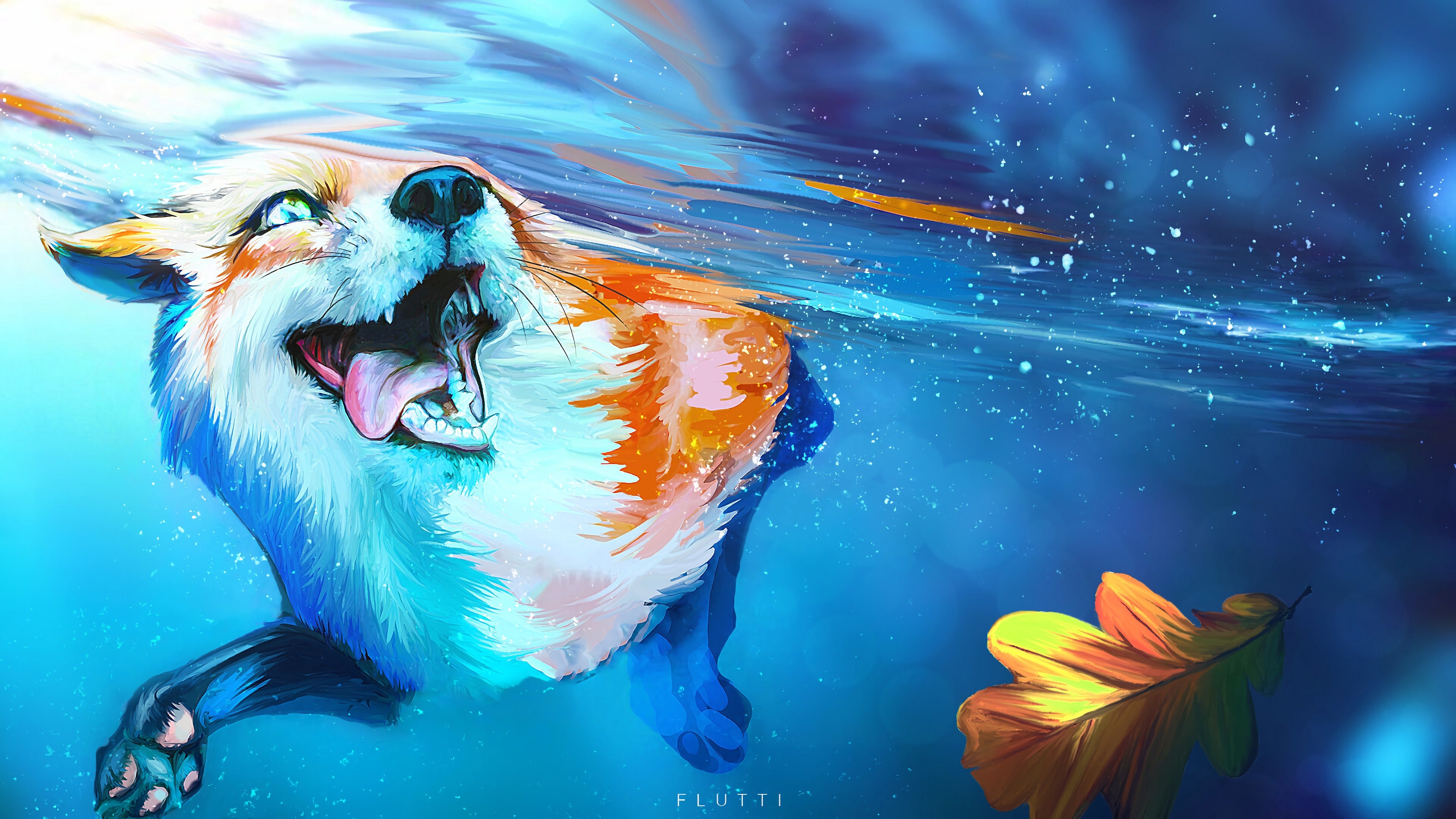 Wallpaper - HD Wallpaper 